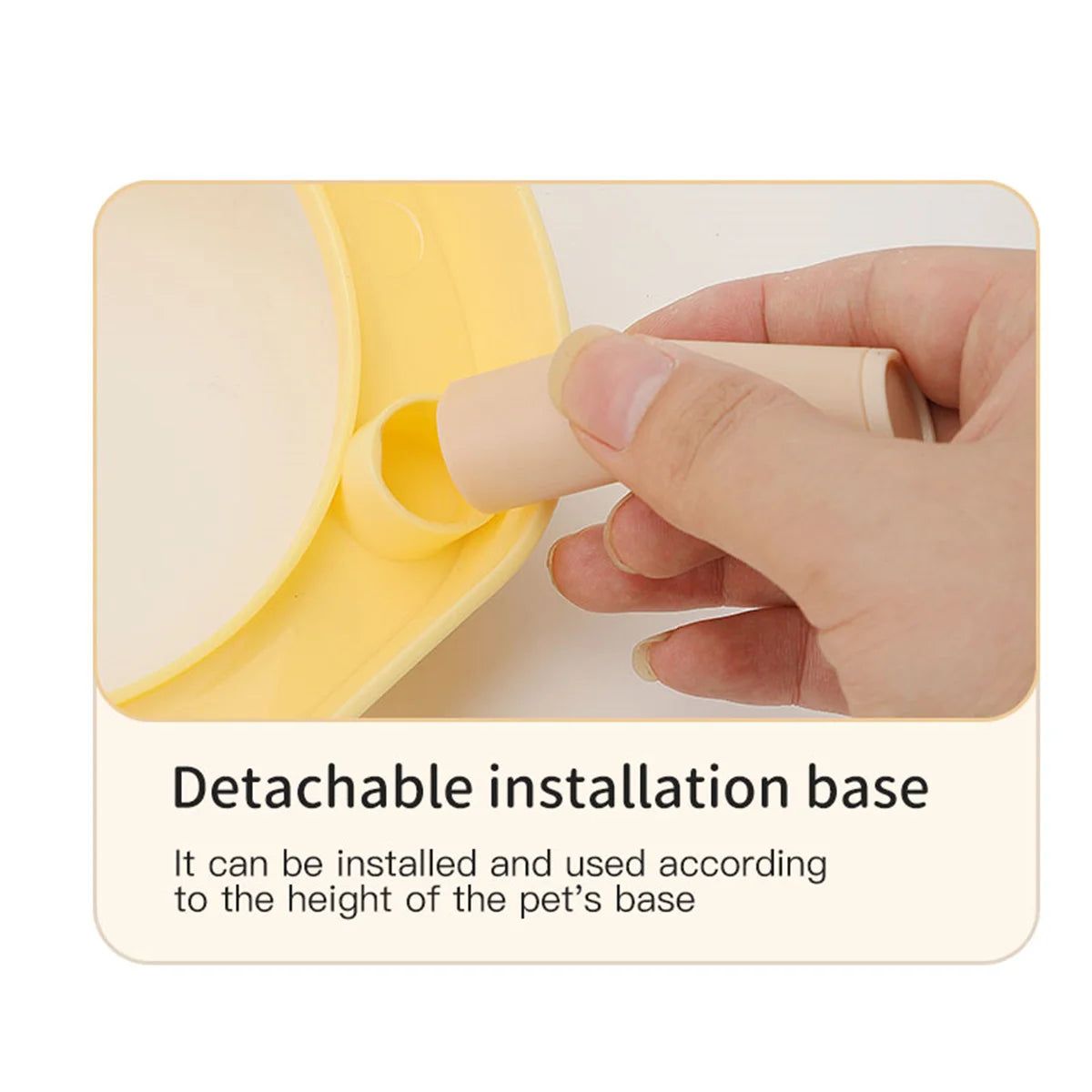 A Colorful Dopamine Pet Double Bowl Fashion