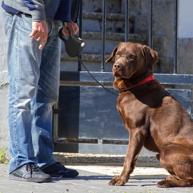 The Pet Leash Comes with a Light, Enhanced Version of the Light