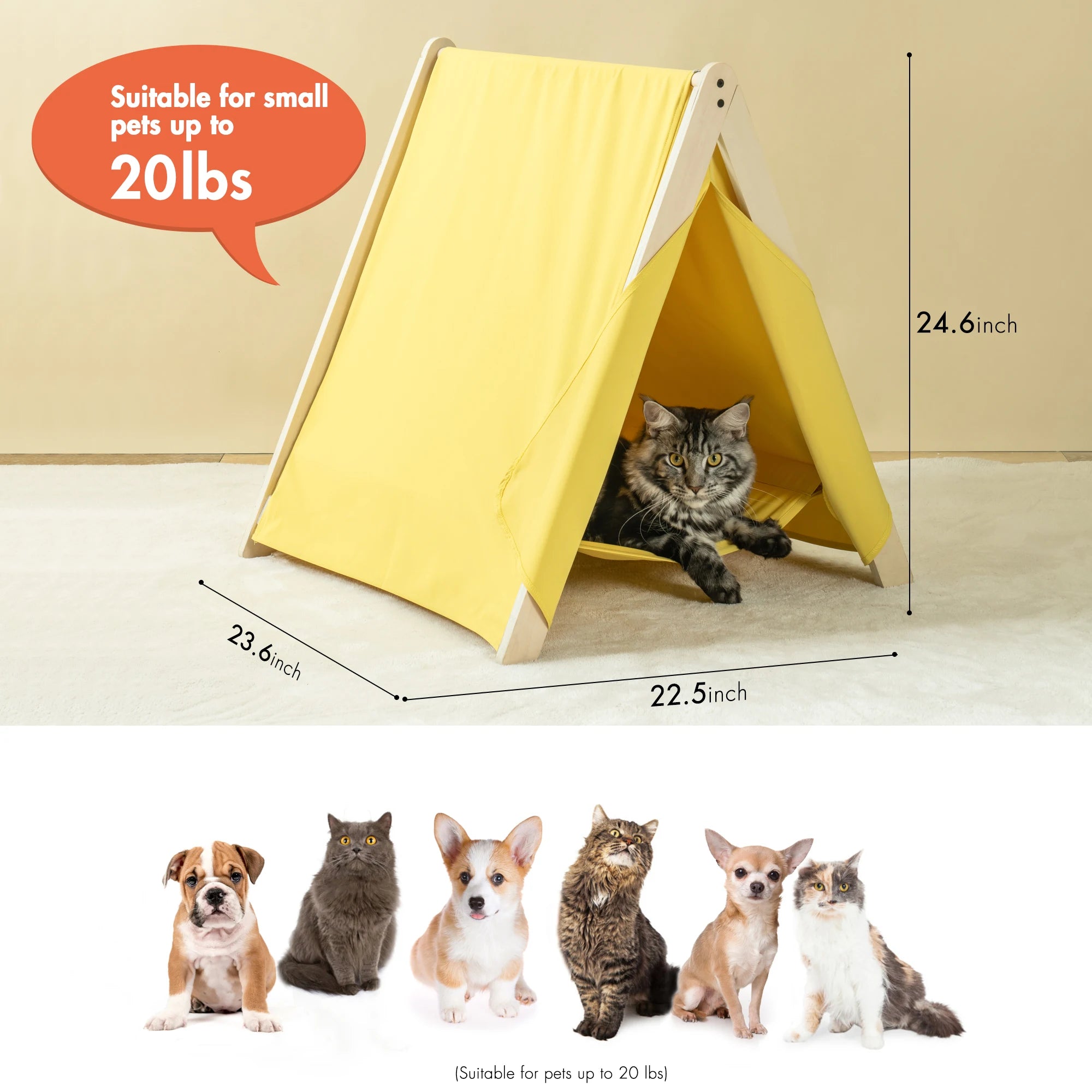 Pet Cat Tent Large Space Dry Breathable Easy To Clean