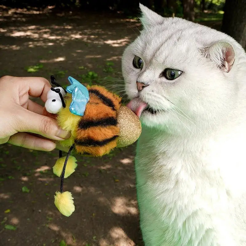 Cat Toys For Indoor Cats Catnip Toys