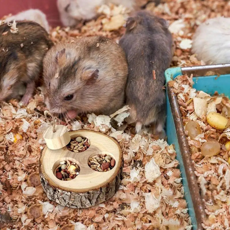 Pet Interactive Snuffle Logic Game Wooden Rabbit Hamster Plaything