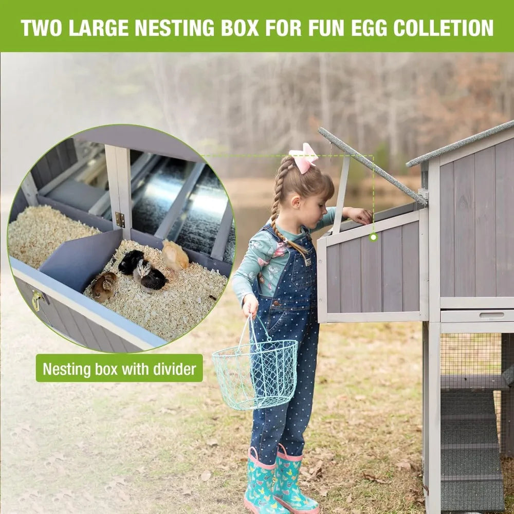Run for 4-6 Chickens 26ft²-Super Easy to Assemble