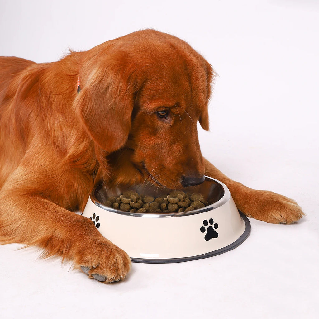 Anti-fall Food Bowl Food Bowl Feeding Pet Supplies