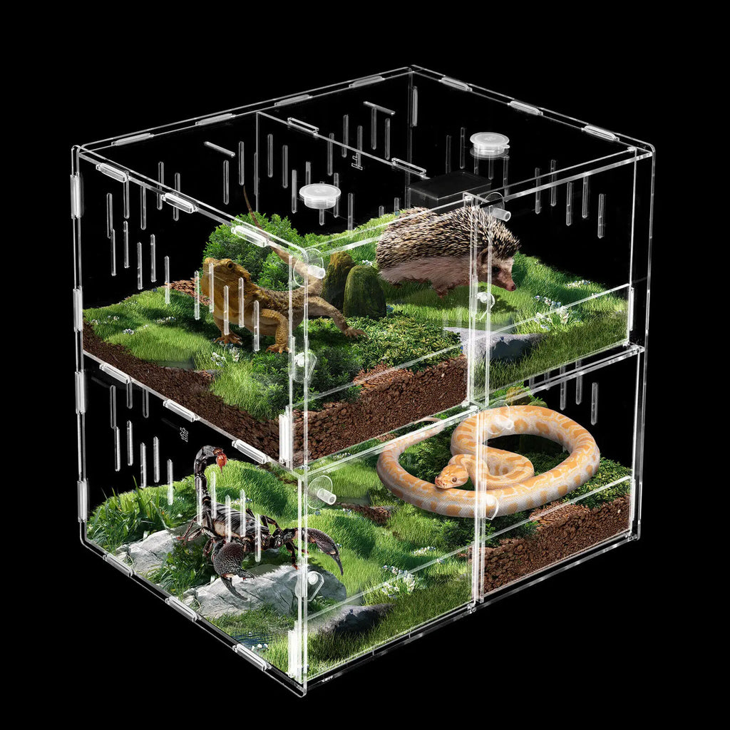 4 Grids Terrarium Lizard Insect Climbing Spider Snake Tank Clear