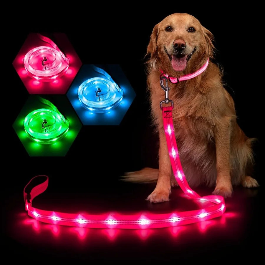 Light Up Dog Leash 4ft LED Dog Leash Rechargeable Puppy Lead Waterproof Safety Glow in The Dark Pet Lights for Night Walking in