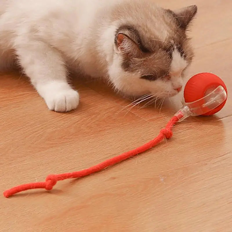 Cat Interactive Ball Toys Cat Ball Toy Automatic Rolling