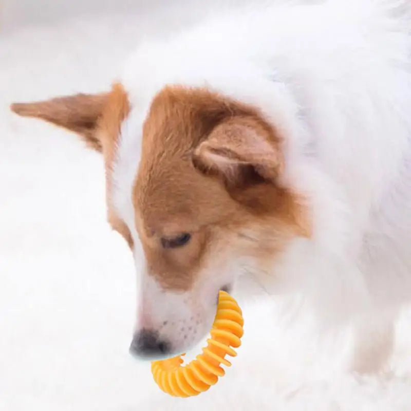 Teething Dog Toys For Puppies