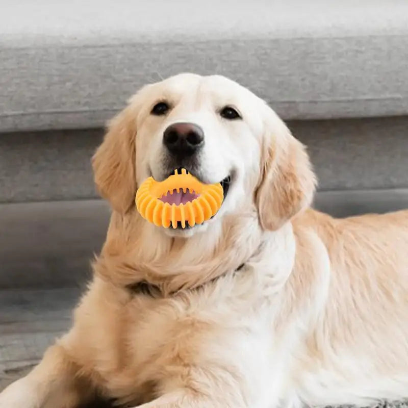 Teething Dog Toys For Puppies