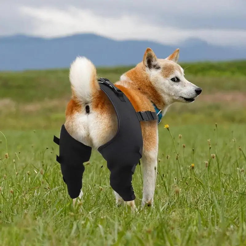 Dog Hip Brace Adjustable Pet Dog Legs Protector Supporter